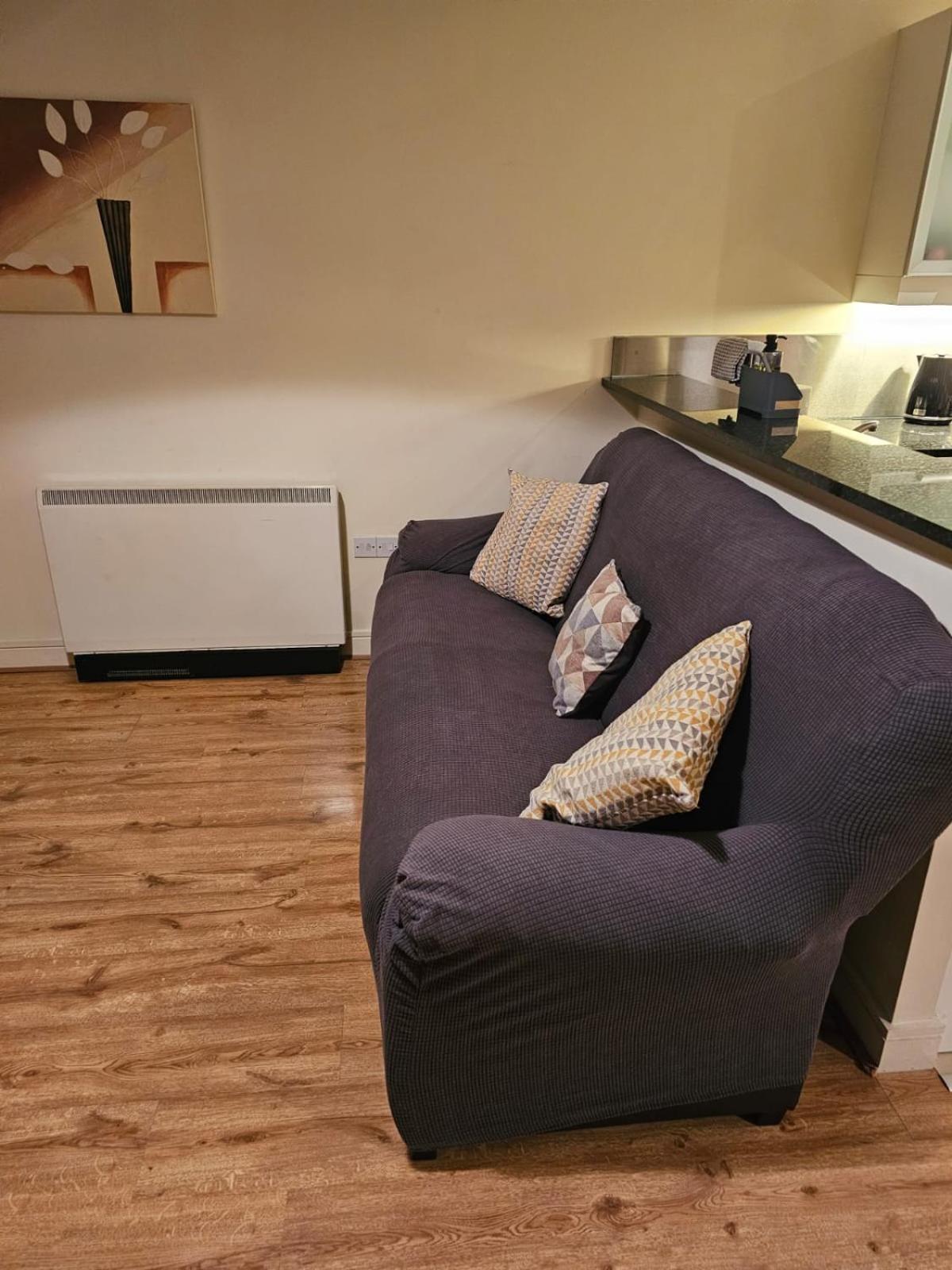 Penthouse Apartment キルケニー エクステリア 写真