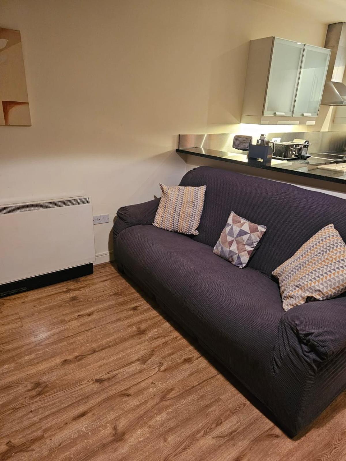 Penthouse Apartment キルケニー エクステリア 写真